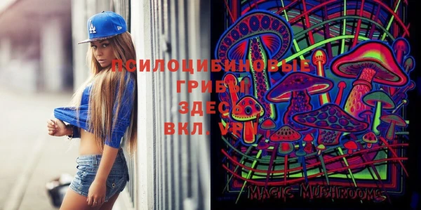 стафф Магас