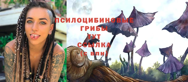 стафф Магас