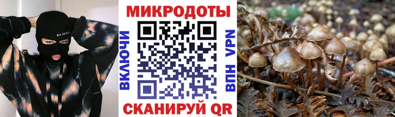 кракен ТОР  закладки  Красково  Галлюциногенные грибы GOLDEN TEACHER 